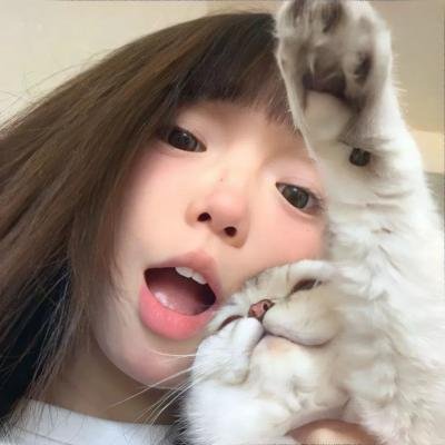 红松鼠