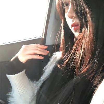 战地黄花分外香